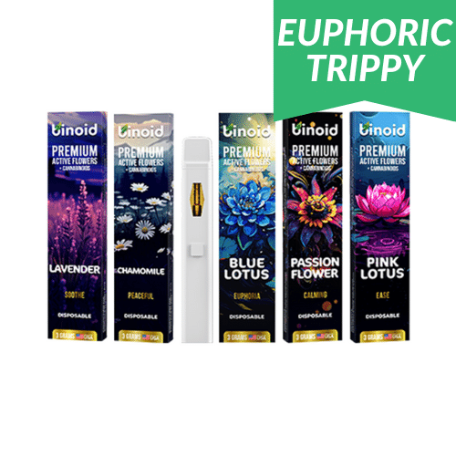 6604832f496d9fedd676e110_Binoid-Active-Flowers-Disposable-Vape-Pen-3g-1.png 6604832f496d9fedd676e110_Binoid-Active-Flowers-Disposable-Vape-Pen-3g-1.png
