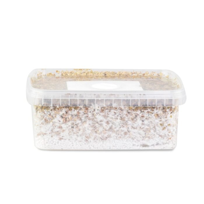 Amazonian-Mushroom-Grow-Kit-1-1.jpg Amazonian-Mushroom-Grow-Kit-1-1.jpg