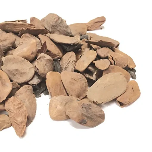 BUY-AKUAMMA-SEED-ONLINE-1.webp BUY-AKUAMMA-SEED-ONLINE-1.webp