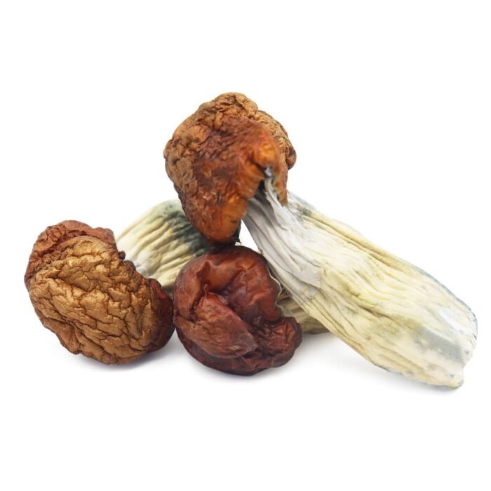 Blue-Pulaski-Magic-Mushrooms-1.jpg Blue-Pulaski-Magic-Mushrooms-1.jpg