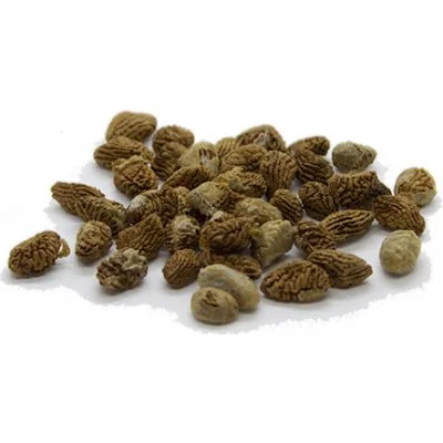 Buy-Iboga-seeds-online-1.webp Buy-Iboga-seeds-online-1.webp