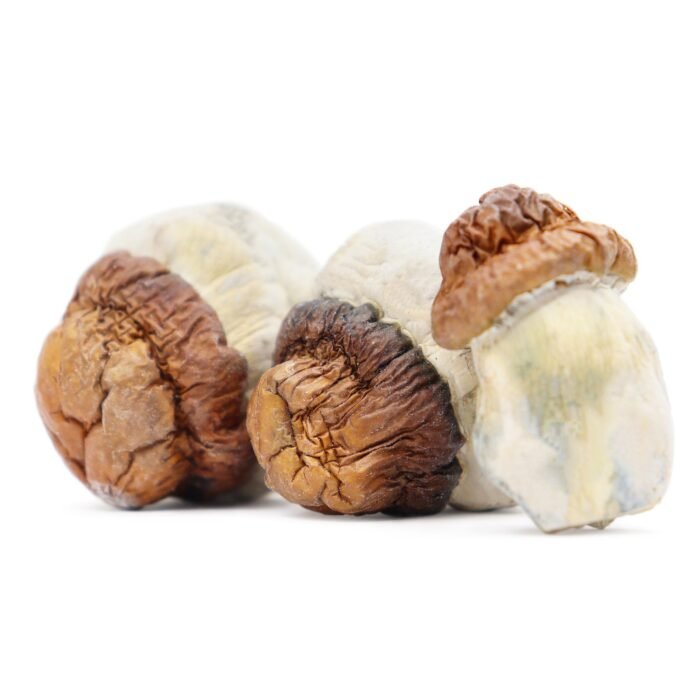 Code-Blue-Magic-Mushrooms-1.jpg