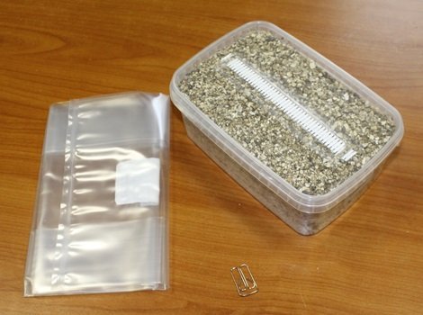 Golden-Teacher-Mushroom-Grow-Kit-1-1.jpg Golden-Teacher-Mushroom-Grow-Kit-1-1.jpg