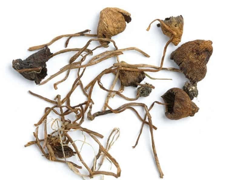 Liberty-Cap-For-Sale-1.jpeg Liberty-Cap-For-Sale-1.jpeg