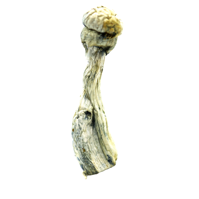 image-16-1-1.png image-16-1-1.png