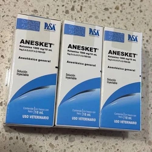 pisa-buy-1000mg-10ml-anesket-online-storage-1718098395-7475193-1-1.jpg pisa-buy-1000mg-10ml-anesket-online-storage-1718098395-7475193-1-1.jpg